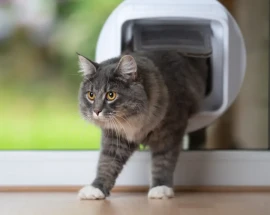 installazione gattaiola su vetro installazione gattaiola su vetro